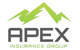 APEX_Logo (small)